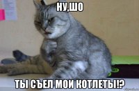 ну,шо ты съел мои котлеты!?