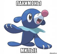 пакимоны милые