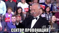  сектор провокация