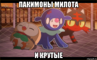 пакимоны милота и крутые