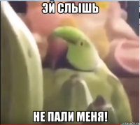 эй слышь не пали меня!