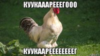 куукааарееегооо куукаареееееееег