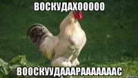воскудахооооо вооскуудааарааааааас