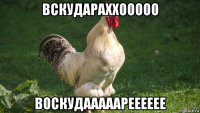 вскудараххооооо воскудааааарееееее