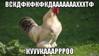 вскдфкфкфкдааааааахххтф кууукаааррроо