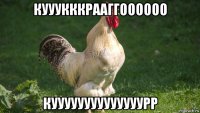 кууукккрааггоооооо куууууууууууууурр