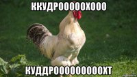 ккудрооооохооо куддрооооооооохт