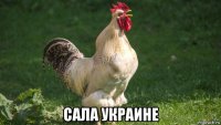  сала украине