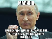 марина при посадке деревьев старайся не заглублять корневую шейку у саженцев