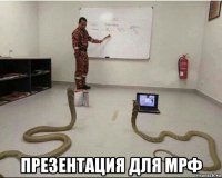  презентация для мрф