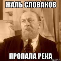 жаль словаков пропала река