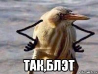  так,блэт