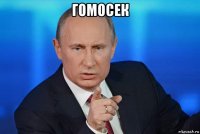 гомосек 