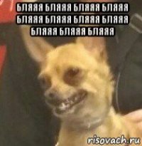 бляяя бляяя бляяя бляяя бляяя бляяя бляяя бляяя бляяя бляяя бляяя 