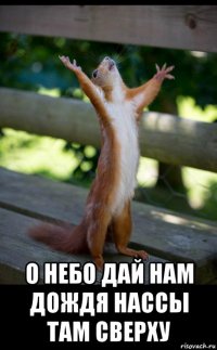  о небо дай нам дождя нассы там сверху