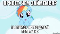 привет. чем займемся? ты пегас? круто! давай полетаем?