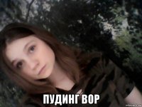  пудинг вор