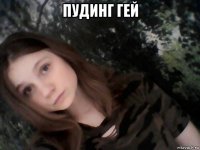 пудинг гей 