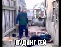  пудинг гей
