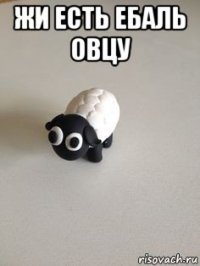 жи есть ебаль овцу 