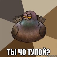  ты чо тупой?