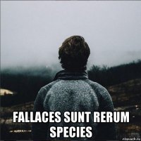  fallaces sunt rerum species