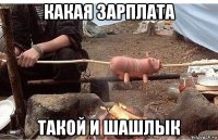 какая зарплата такой и шашлык