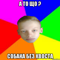 а то що ? собака без хвоста