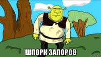  шпорк запоров