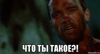  что ты такое?!