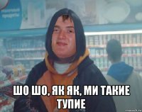  шо шо, як як, ми такие тупие