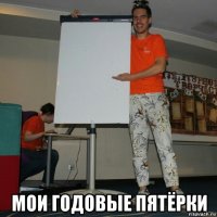  мои годовые пятёрки
