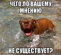 чего,по вашему мнению не существует?