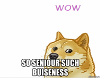  so seniour such buiseness
