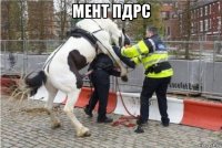 мент пдрс 