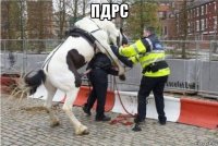 пдрс 