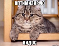 оптимизирую видос