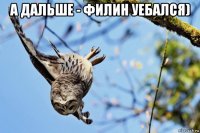 а дальше - филин уебался) 