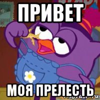 привет моя прелесть