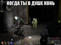 когда ты в душе конь 