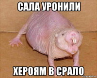 сала уронили хероям в срало
