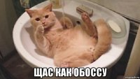  щас как обоссу