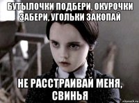 бутылочки подбери, окурочки забери, угольки закопай не расстраивай меня, свинья