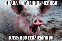 слава марченко - челяба клуб ноу гей чемпион