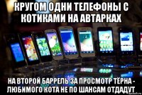 кругом одни телефоны с котиками на автарках на второй баррель за просмотр тёрна - любимого кота не по шансам отдадут