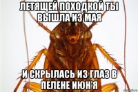 летящей походкой ты вышла из мая и скрылась из глаз в пелене июн'я