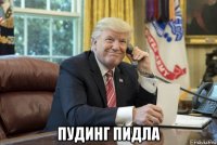  пудинг пидла