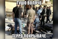 тушо воляче терро покрываче