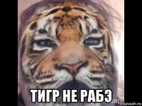  тигр не рабэ