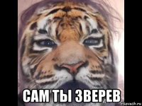  сам ты зверев